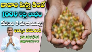 బాదాం పిస్తా కంటే 1000 రెట్ల లాభం ఇది | Sprouts Benefits | Dr Manthena Satyanarayana Raju Videos