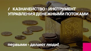 Казначейство как инструмент управления денежными потоками. Организация, автоматизация и функции