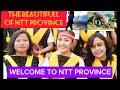 WELCOME TO NTT PROVINCE // THE BEAUTIFULLOF NTT PROVINCE#komodoisland #ntt