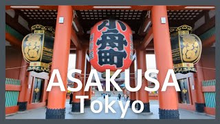 [Tokyo Asakusa] Own the tranquility and beauty of the early morning! 2023 spring walk 🌅🌸