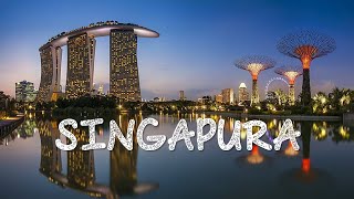 A Day Trip To Singapore By Train \u0026 Bus | Misi Terjah Singapura