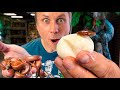 I JUST HATCHED SOME REALLY RARE PYTHONS!! SUPER INSANE!! | BRIAN BARCZYK