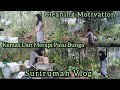 Kemas Dan Merapi Pasu Bunga Di Rumah Kampung/ Cleaning Motivation/ Surirumah Vlog/ Daily Routine