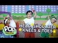 Head, Shoulders, Knees and Toes | Pop Babies