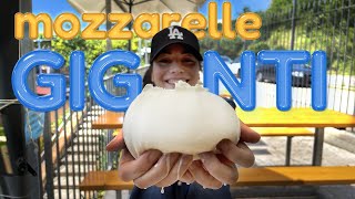 IO, LEI e il triangolo delle MOZZARELLE GIGANTI