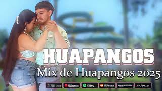 Mix de Huapangos 2025 ~ Popurri: Huapangos Para Zapater ~ Puros Huapangos Para Bailar Mix 2025