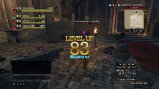 [DDON]ボーナスダンジョン［XP］(※３倍発動時)