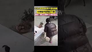 小主人和狗狗在院子里玩滑梯，两个小朋友之间的信任。