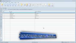 Working With Tabbed Window Layout