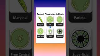 Types of Placentation in Plants #shorts #neet