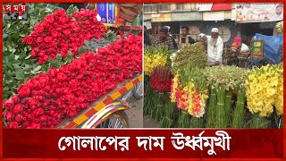 ফেব্রুয়ারিজুড়ে উৎসব, পাইকারি বাজারেও বেড়েছে ফুলের দাম | Jessore | Rose business | Somoy TV