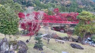 大分県耶馬渓ダム渓石園①  2022年11月13日