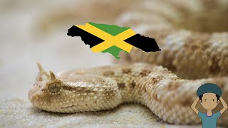5 Most Deadly Animals In Jamaica And The Caribbean