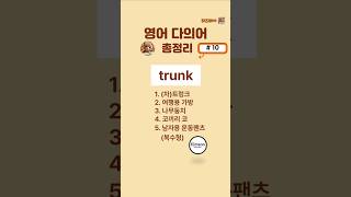 영어 다의어 총정리 #10 | trunk | 영어실력을 높여주는 영어 다의어 학습 (쉬운 예문 이해 쏙쏙) #토익 #텝스 #수능영어 #내신영어 #영어단어 #영어어휘 #보카  