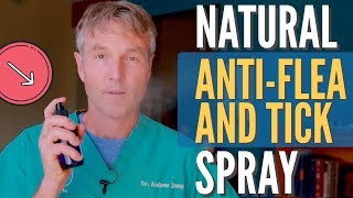 Natural Flea and Tick Spray for Dogs