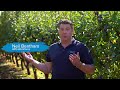 apg workforce video baiada farms