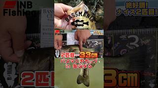 【バス釣り】参戦!バスマニアカップin亀山! #inb_fishing #バス釣りyoutube #亀山ダム