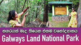 නගරයක් මැද තියෙන එකම වනෝද්‍යානය | Gallwaysland National Park Nuwaraeliya