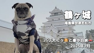 パグ犬ぐぅ🐶と車中泊旅🚗 2025年1月 福島県会津若松市「鶴ヶ城」「赤べこ公園」