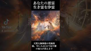 【究極波動】天照大御神の光で全てを浄霊！心と空間を清める究極の波動【浄霊 波動 悪霊退散】#浄霊#天照大御神#浄化#波動#悪霊退散 #スピリチュアル #金運 #開運 #霊気ヒーリング #宇宙