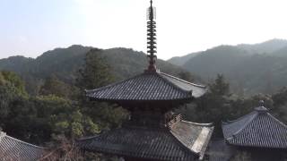 30秒の心象風景6318・西日を受ける三重塔～法華山一乗寺～