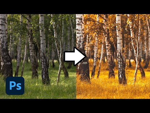How To Change Colors In Lightroom How To Change Colors In Lightroom