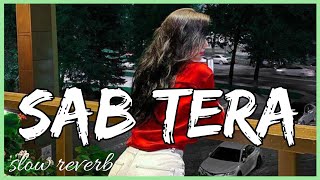 Sab Tera - BAAGHI [ slowed + Reverb ] love special song