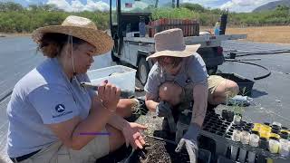 AmeriCorps NCCC - Summer of Service 2024