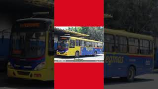 Auto Viação Reginas! RJ 110.063 #autoviaçãoreginas @pedrohenriquegarciadutra