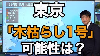 東京の木枯らし1号の可能性は？