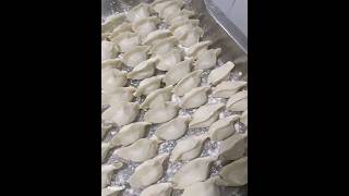 冬至包饺子三鲜馅Eat dumplings with three fresh fillings during the Winter Solstice