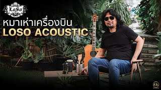 หมาเห่าเครื่องบิน | LOSO Acoustic