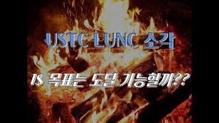 LUNC USTC 루나클래식소각 USTC소각