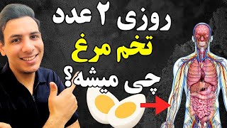 بعد از ویدیو بازم تخم مرغ میخوری؟| سفیده تخم مرغ بهتره یا تخم مرغ کامل؟