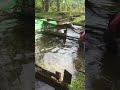 Kolam ikan alami sanggau kalbar #sanggau #kalbar #dayak #dayakkalbar