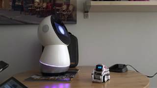 Jibo and Cozmo Speak To Each Other!