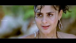 Allari Naresh || Farjana  Latest Telugu Movie Songs||  Best Video Songs || Shalimarcinema