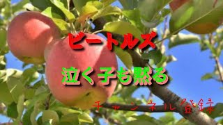 【俳句の滅亡神雷CH】令和五年二月二十日の神戸新聞のわたなべじゅんこ先生選に入選した俳句です。　〜　冬林檎の巻　〜　　平室鯛松　　吾の誕生日の前日に入選しました。去年は誕生日に入選し誕生日の週に強い