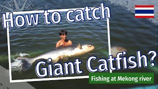 Fishing Giant catfish in Thailand, New bungsamran fishing park #bigfish #monsterfish #bangkok