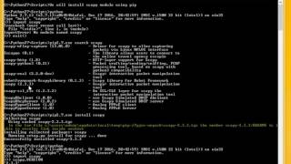 Install or uninstall python package using pip