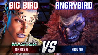 SF6 ▰ BIG BIRD (Marisa) vs ANGRYBIRD (Akuma) ▰ High Level Gameplay
