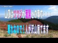 2023年5月9日　大和葛城山 ツツジ 群生地 満開 水越峠 最短ルート