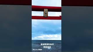 宮城県東松島市の野蒜海岸。期間限定で設置される鳥居。