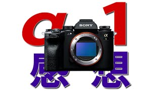 【カメラ雑談】 Sony α1のスペック感想 【動画目線】