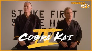 COBRA KAI (Temporada 4): Resumida en Corto | RESUMEN