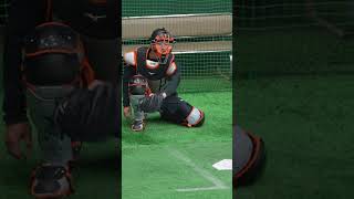 【巨人】大城卓三選手がブルペンで京本眞投手の球を受ける動画　#shorts #baseball #sports #ジャイアンツ #巨人 #プロ野球