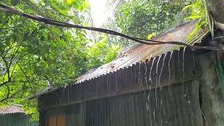 Village Rain || একটি বৃষ্টির দিন|| A Rainy Day || #rainyday