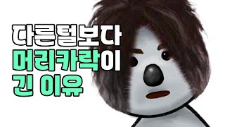 ep.7 머리카락은 왜 다른 털보다 길까? | 고알라