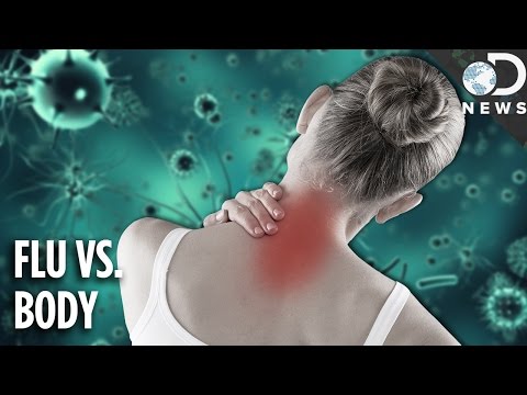 Why The Flu Causes Aches & Pains Why The Flu Causes Aches & Pains
