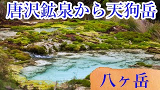 【八ヶ岳】唐沢鉱泉から苔の森を堪能して天狗岳へ